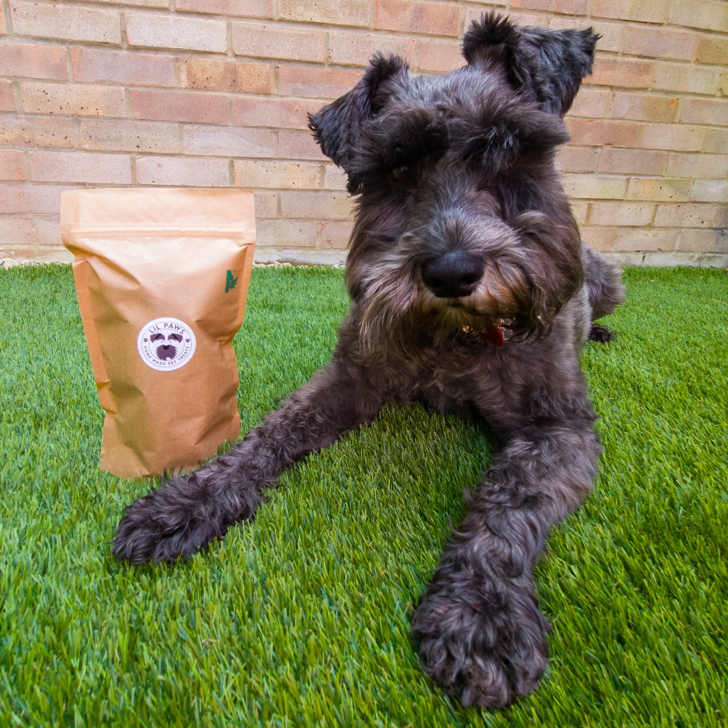 Vegan and wheat-free dog biscuit treats - breath freshening (150g)